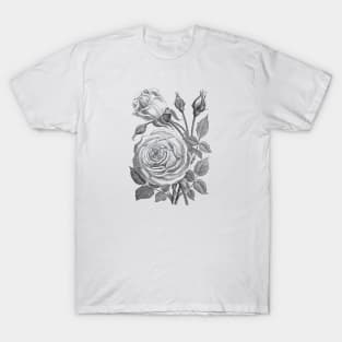 Rose Flowers Vintage Illustration T-Shirt